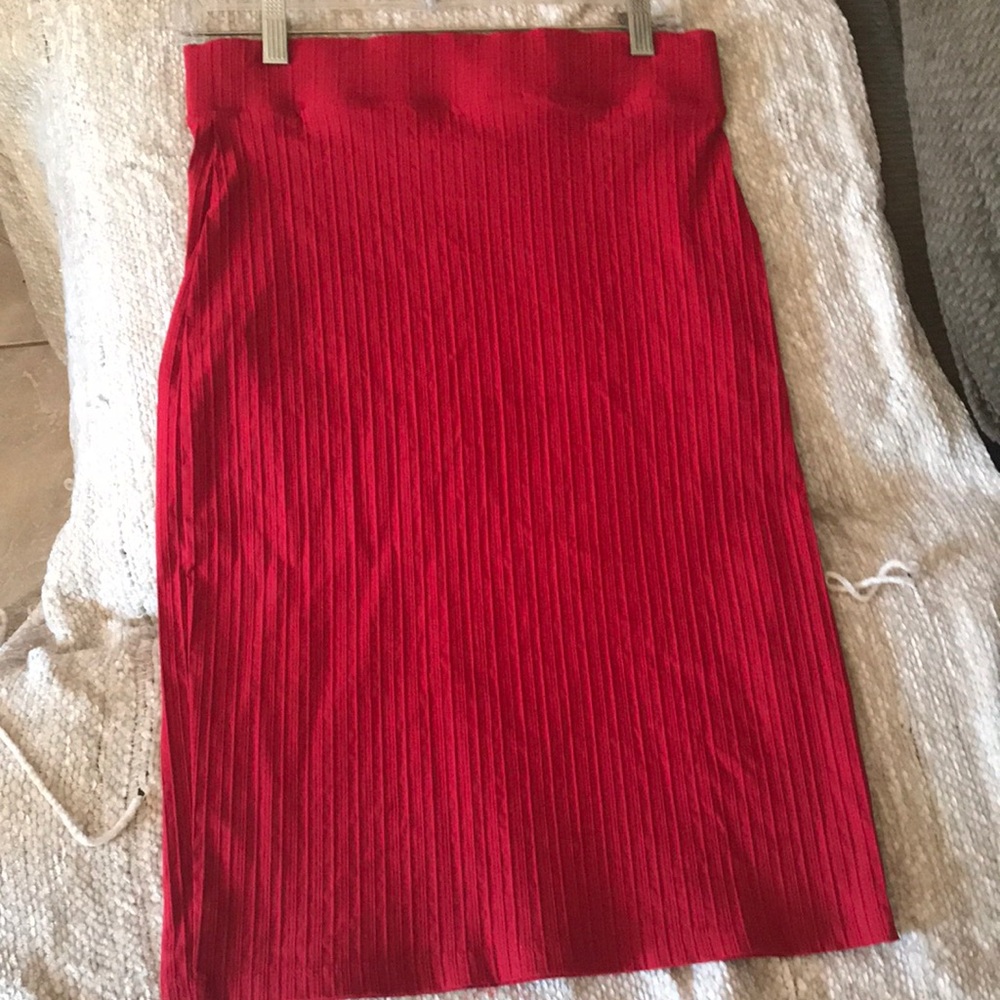 Holiday Skirt